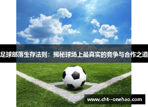 足球部落生存法则：揭秘球场上最真实的竞争与合作之道