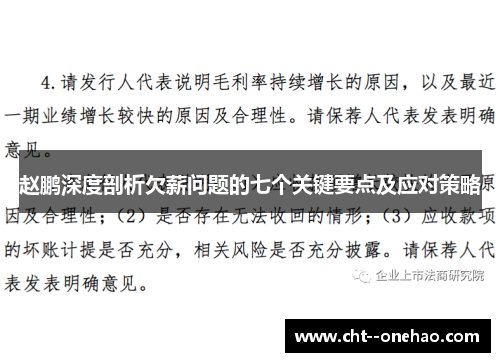 赵鹏深度剖析欠薪问题的七个关键要点及应对策略