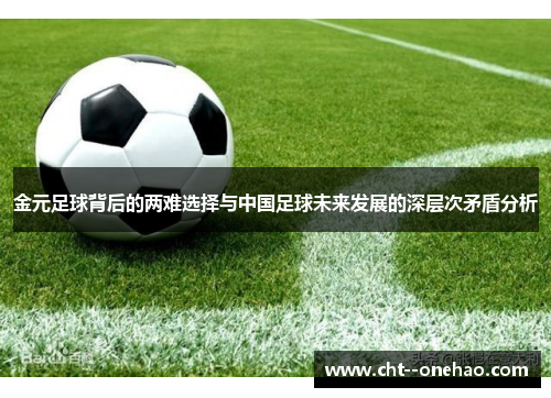 金元足球背后的两难选择与中国足球未来发展的深层次矛盾分析 金元足球背后的两难选择与中国足球未来发展的深层次矛盾分析