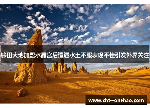 镰田大地加盟水晶宫后遭遇水土不服表现不佳引发外界关注 镰田大地加盟水晶宫后遭遇水土不服表现不佳引发外界关注