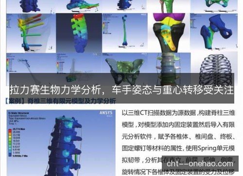 拉力赛生物力学分析，车手姿态与重心转移受关注